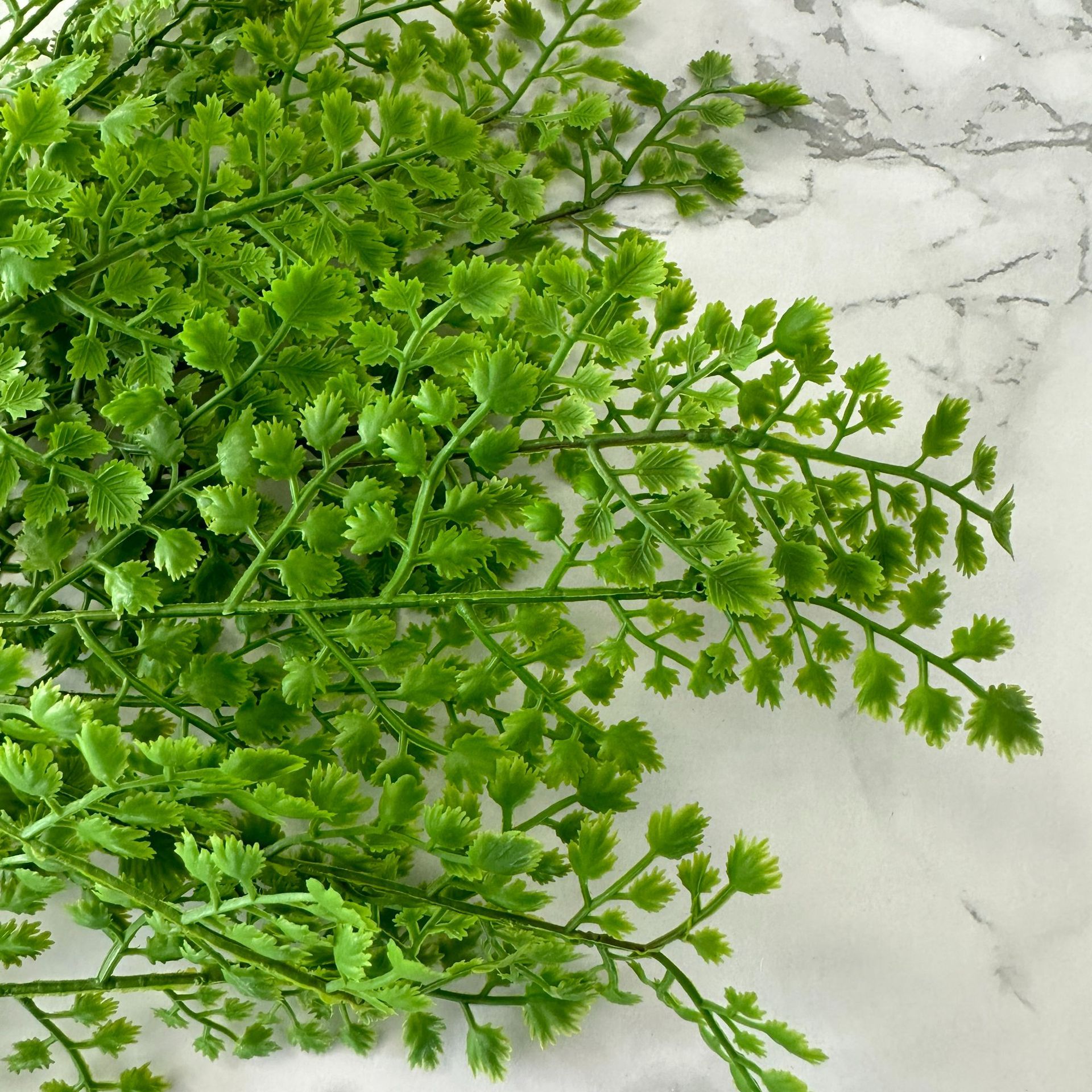 Simulated 13-Pronged Soft Rubber Fern Leaf Home Decoration Fern Simulated Plant Wall Flower Arrangement Accessories Photography Props