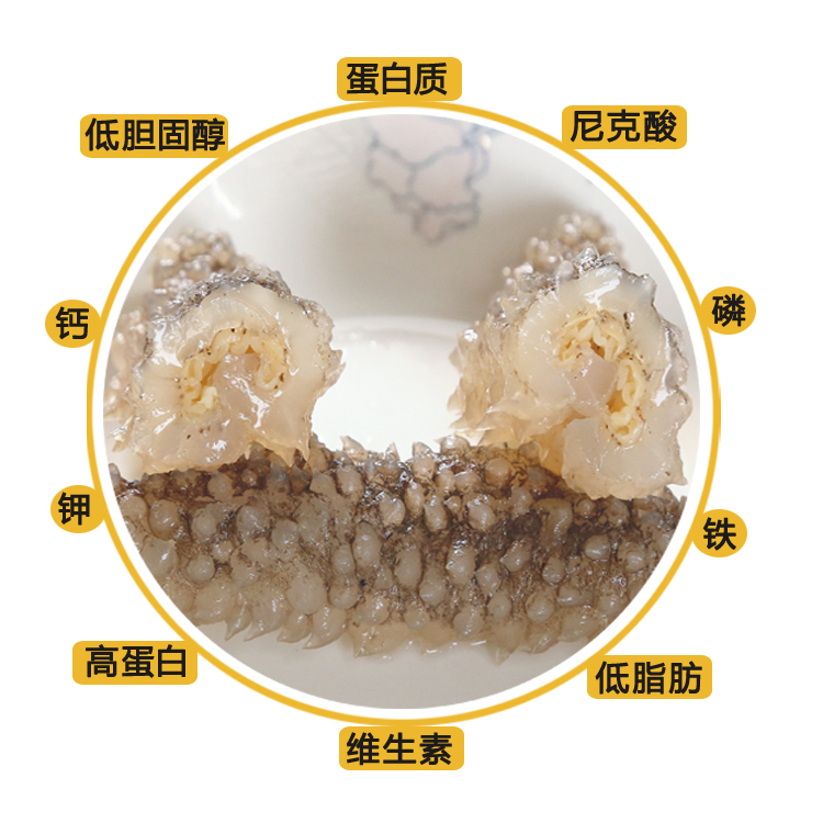 Wild Sea Cucumber Dried 50-500g Bulk Light Dried Small Apostichopus japonicus Pregnant Women Non-fresh Dalian Instant Liao Cucumber