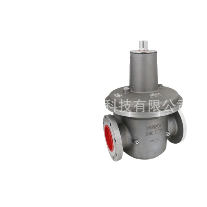 German Original Dungs Burner Pressure Regulating Valve Dropshipping Dungs Gas Pressure Reducing Valve