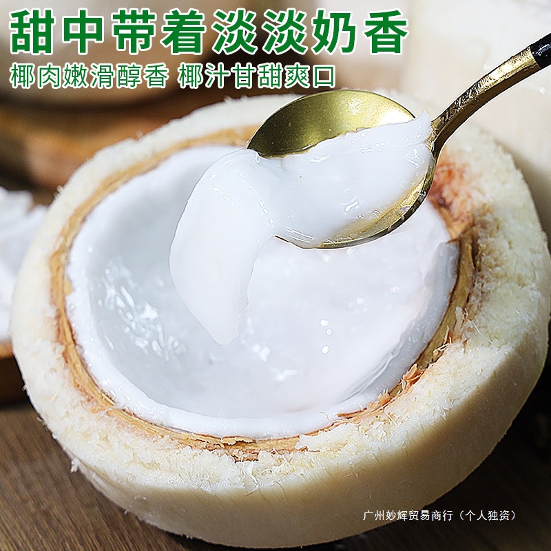 Hainan Coconut Green Fresh Coconut 9 Pack Seasonal Pregnant Women Fruit Coconut Fragrance Royal Peeled Perfume Coconut Whole Box Free Shipping