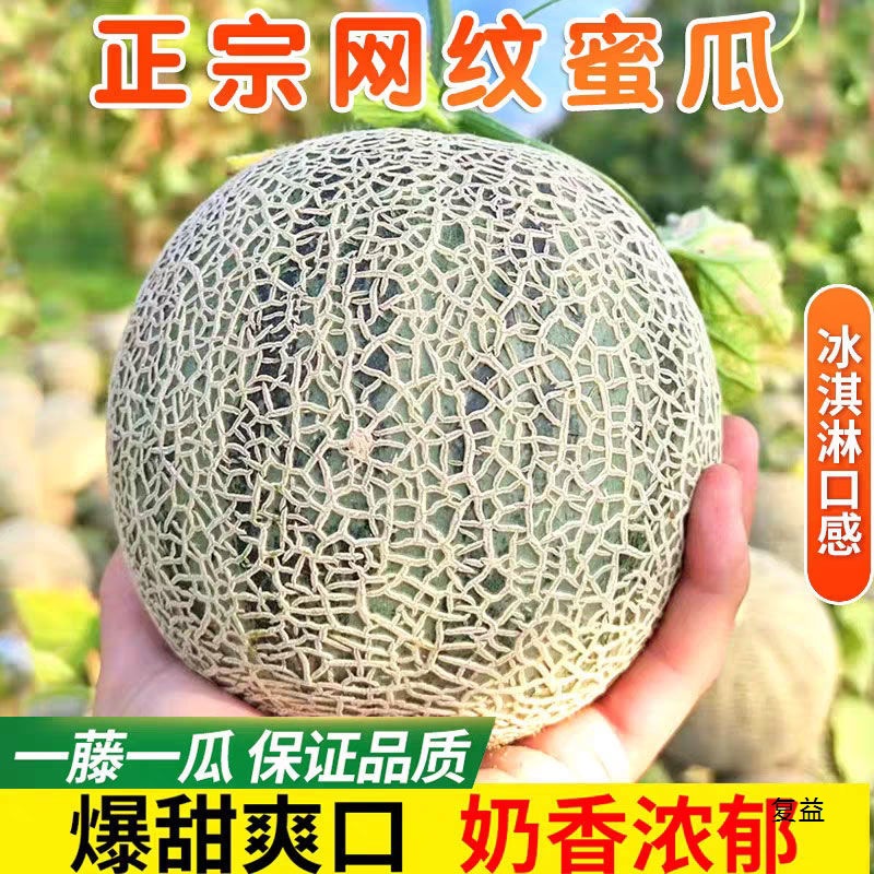 Хайнань дыня сетчатая медовая мороженое, розовая дыня, сладкая дыня, канталупа, белая дыня, свежая прямая доставка из источника