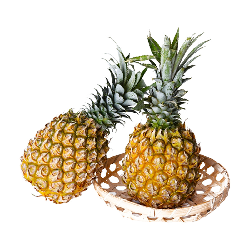 Guangdong Xuwen pineapple Guangxi delivery should season fruit postage perfume pineapple a generation of hair