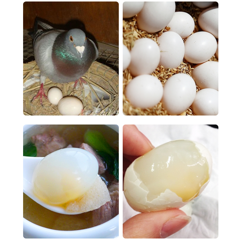 30 Fresh Pigeon Eggs, 630 Grams of Farm Grains, Free Range, Free Shipping, Free Shipping, Guaranteed Compensation for Damage