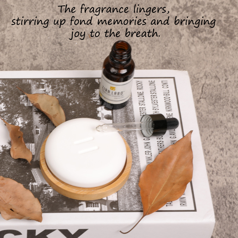 Diffusing Stone Car Aromatherapy Gift Box Indoor Long-Lasting Fireless Fragrance Essential Oil Set Gypsum Aromatherapy Ornaments Wholesale