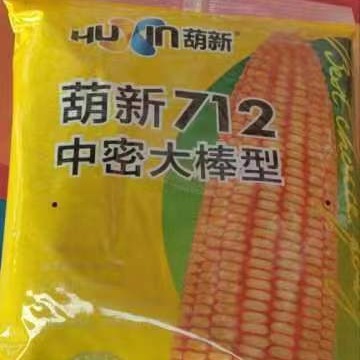 Хусин 712 семена кукурузы гибридные семена кукурузы производитель поставляет сельскохозяйственные посадочные гибридные семена кукурузы