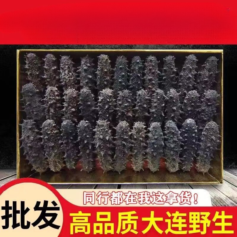 Factory Direct Sales Wholesale Wild Liaoshan Sea Cucumber 500g Dry Goods Non-Fresh Ready-To-Eat