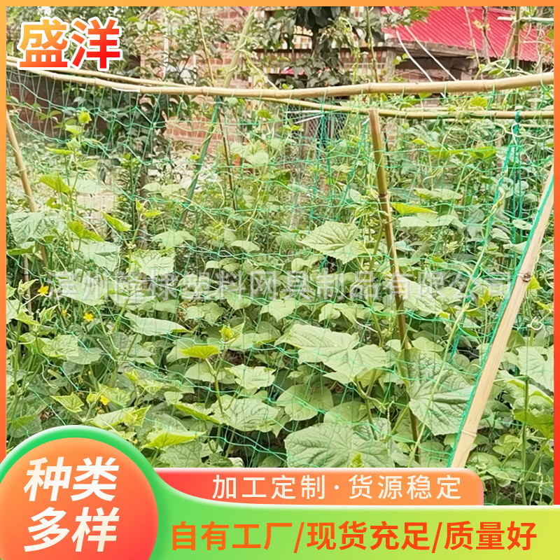 gardening vine-climbing net grape cucumber plant vine-climbing net bean loofah cucumber agricultural vegetable vine-climbing net