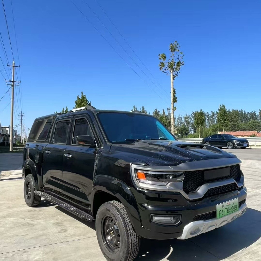 New Energy Low-Speed Mobility Scooter with Lithium Battery, Automotive-Grade Chassis, Stamped Integrated Body, Beautiful Exterior and Luxurious Interior