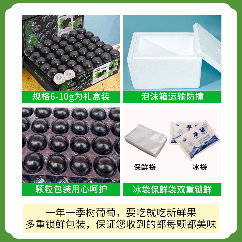 Shun Feng Air Transport 2.00kg Jia Bao Fruit Fresh Fruit Tree Grape High-end Varieties Fresh Fruit Pregnant Women Pick Whole Boxes Postage