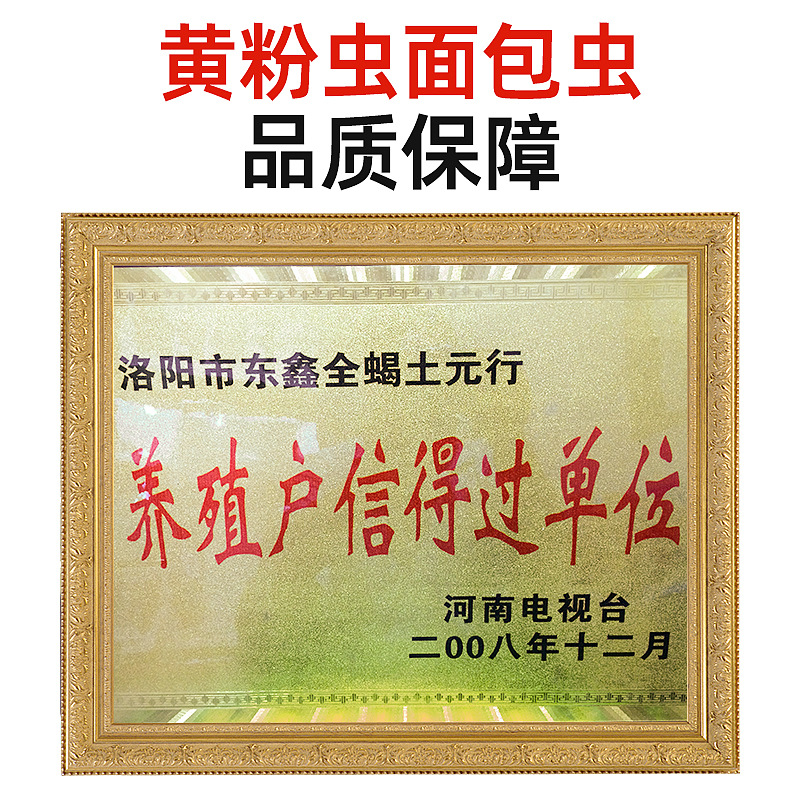 Freeze-Dried Mealworms, Pet Snacks, Mealworms, Mealworms, Breeding Turtles, Birds, Fish, Pet Food