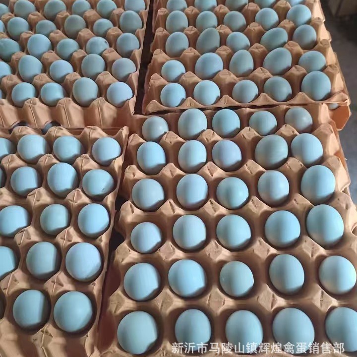 Wholesale Fresh First-Laid Eggs, Green-Shelled Eggs, First-Laid Eggs, Open-Laid Eggs, Green-Shelled Black Eggs, Open-Laid Eggs, Small Size