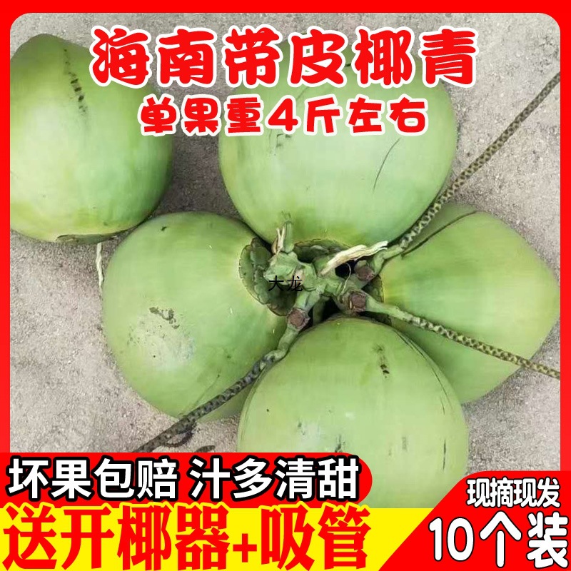 Свежий зеленый кокос Хайнань, кокосовое яйцо, кокосовый император, кокос зеленый, молочный кокос, сокровище, мясо, толстая вода, бесплатная доставка, целая коробка
