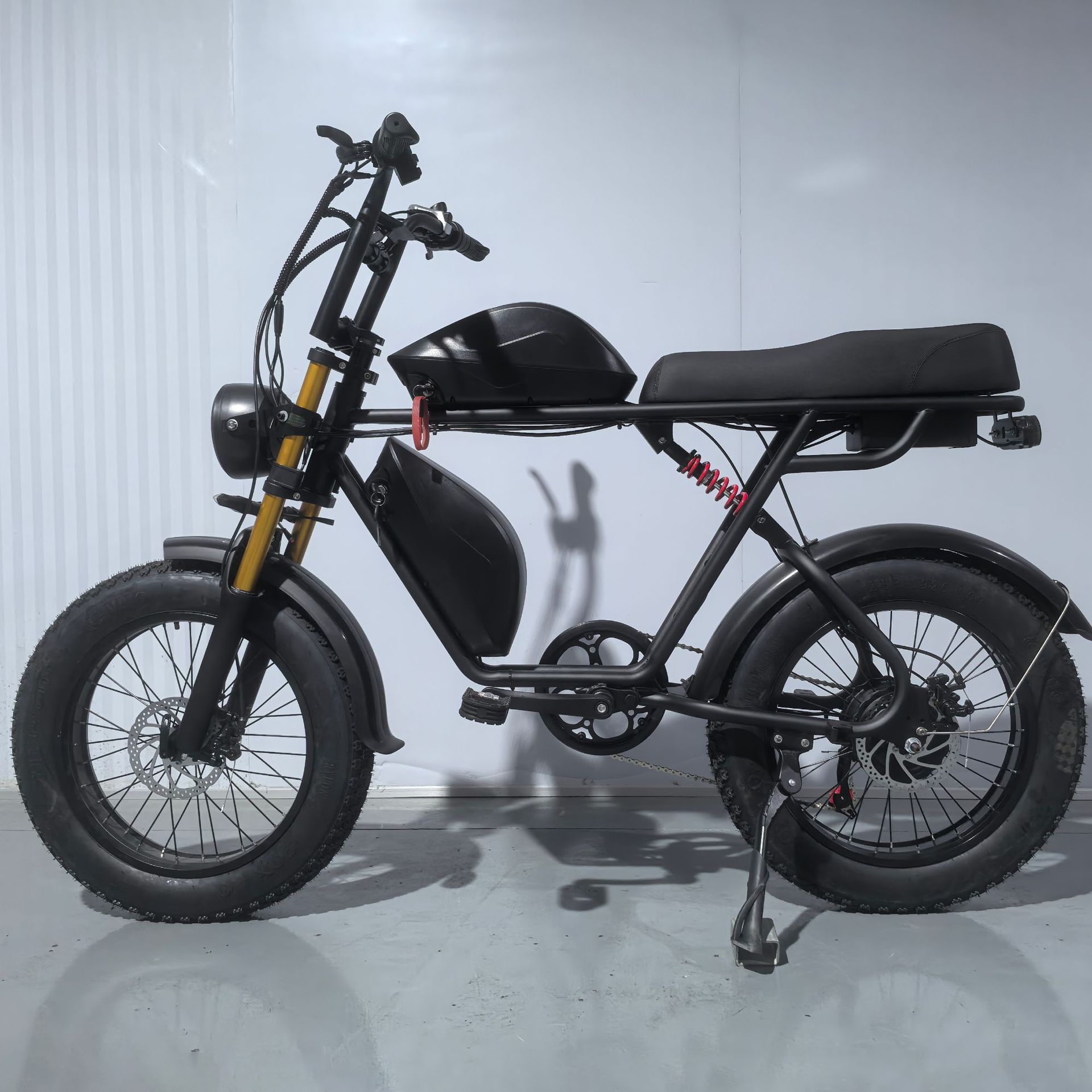Manufacturer Batch 20inch Electric Bicycles, Snowmobiles, Wide Tires, Dual Battery Electric Assist Electric Motorcycles