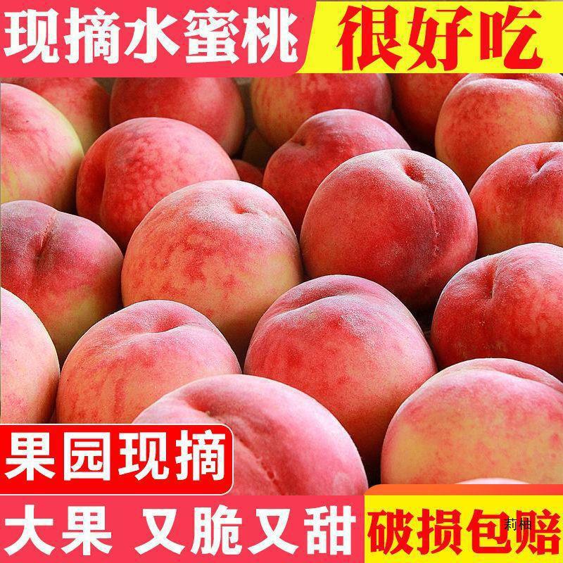 Shandong Qingzhou Honey Peach, Crisp Peach, Hard Peach, Fresh Peach, Hairy Peach, Sweet Peach, Green Peach, Hard Peach, Crispy Sweet Peach for Pregnant Women