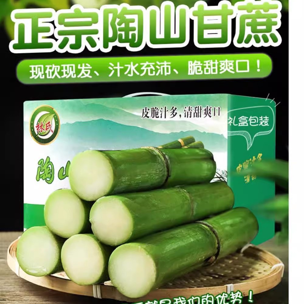 Authentic Taoshan Sugar Cane, Zhejiang Wenzhou Green-Skinned Fruit Cane, Freshly Cut Green-Skinned Fruit Cane 2.5kg Sf Gift Box
