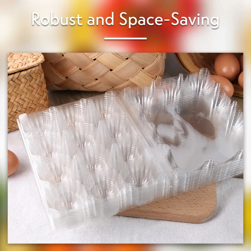 2025 Amazon Hot-Selling Multiple-Pack Household Transparent Plastic Egg Containers Reusable Egg Mop Wholesale