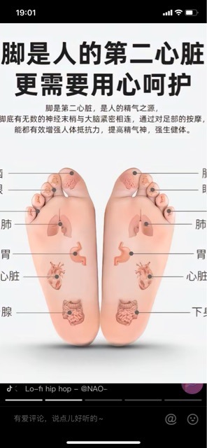 Large Wholesale Acupressure Board Foot Massage Household Small Winter Bamboo Shoot Pressure Fingerboard Super Painful Thickeneded Sole Round Massage Pad