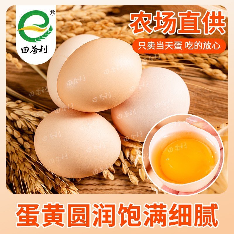 Authentic Free-Range Farm Eggs, Large Size, Red Yolk, Fresh Eggs, Whole Box