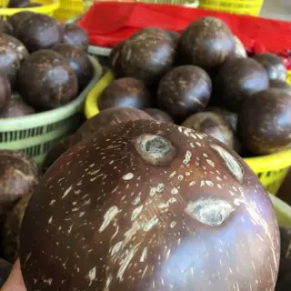 Hainan Coconut King Old Coconut Wholesale Coconut Chicken Coconut Fruit Coconut Meat Juice Soup