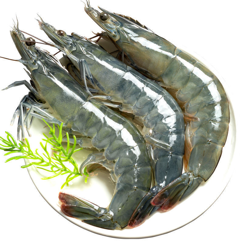 Large Shrimp Frozen Shrimp Quick-Frozen Large Shrimp Frozen Shrimp Salted Frozen Shrimp Sea Shrimp Raw Seafood Aquatic Products Wholesale 2000g Sf Express