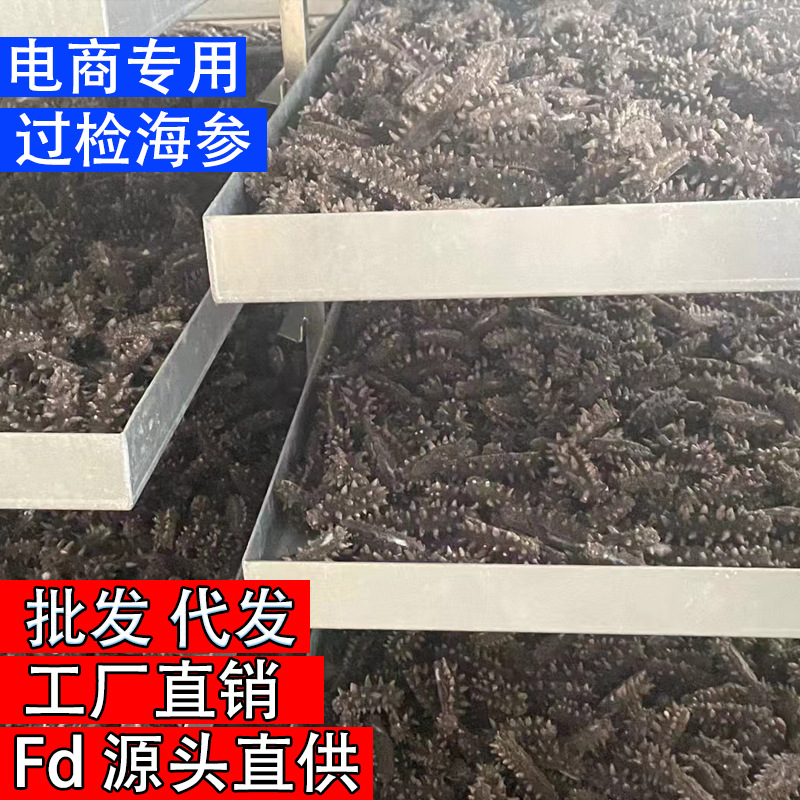 Dried Sea Cucumber Starting from One Piece Fd Freeze-Dried Sea Cucumber Bulk Wholesale Quick-Release Sea Cucumber Aquatic Product Gift Box Special Ginseng