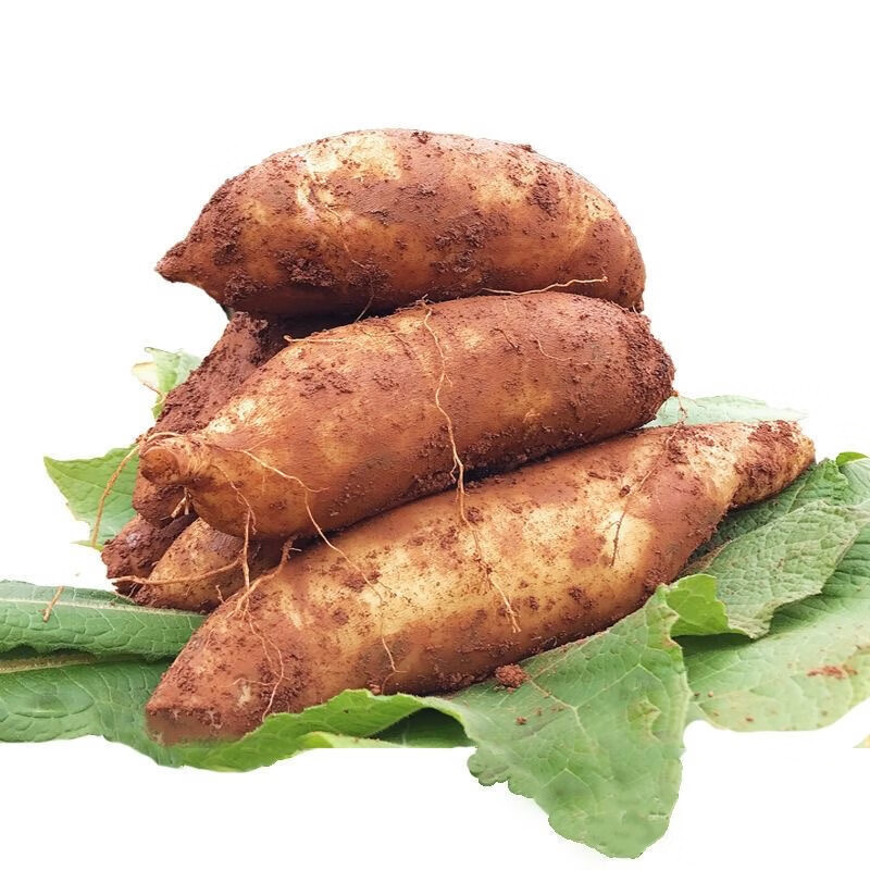 Authentic Yunnan Tianshan Snow Lotus Fruit Fresh Fruit Seasonal Low Sugar Yellow Heart Red Heart First-Class Large Fruit Crispy and Sweet a Whole Box