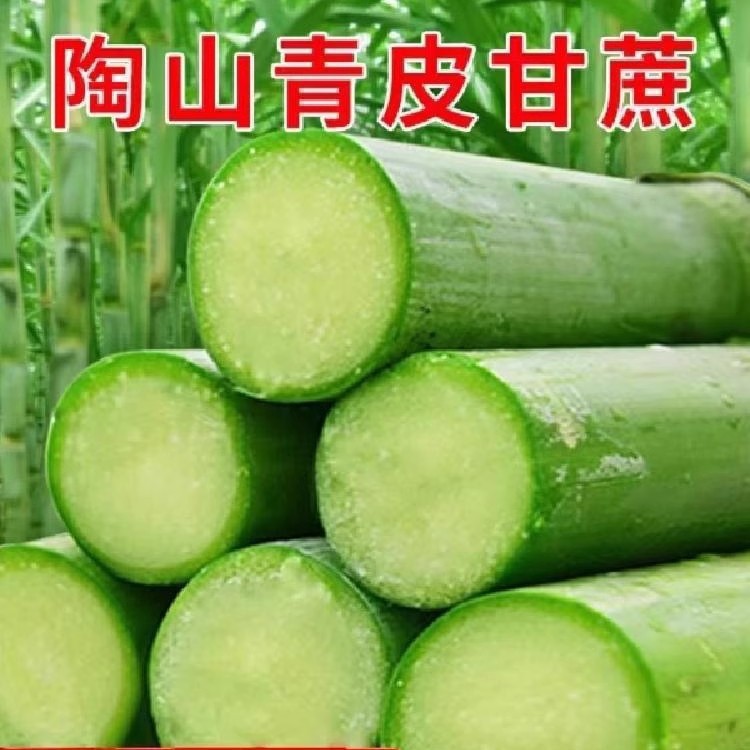 Аутентичный сахарный тростник Таошань из Вэньчжоу, провинция Чжэцзян, свежий зеленокожий фруктовый сахарный тростник, свежесрезанный зеленокожий фруктовый сахарный тростник, 2.5кг, подарочная коробка Sf