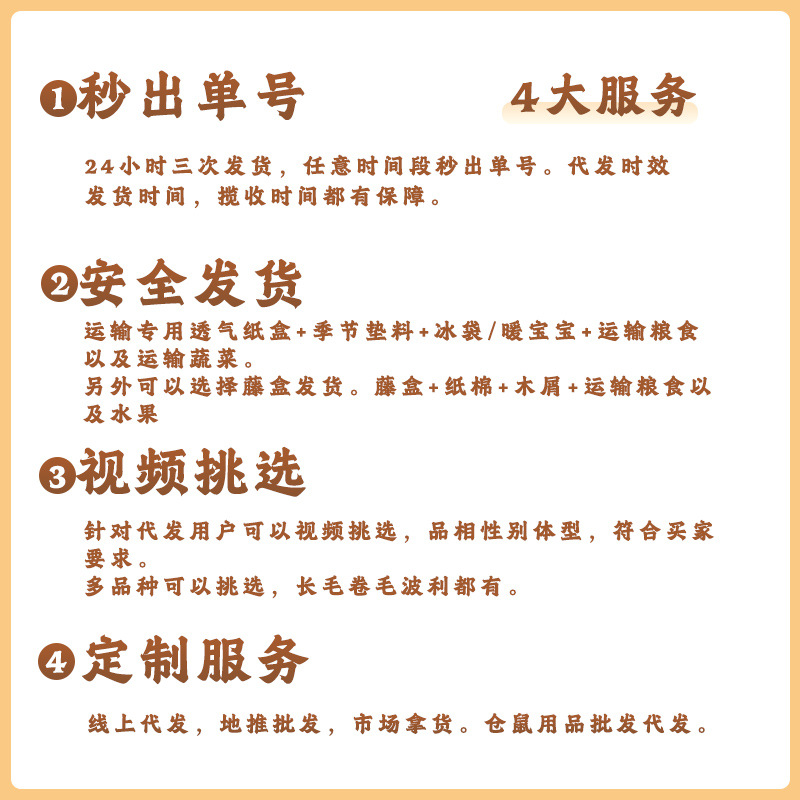 Free Shipping: Small Hamster, Silver Fox Pudding, Three-Threaded Golden Bear Pet, One Hamster Baby, One Baby, One Live Couple