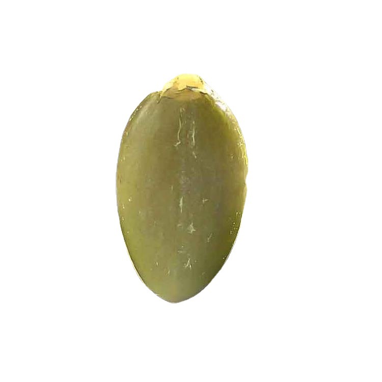 Factory wholesale new products shell-free original nut pastry raw materials low-temperature baking ripe pumpkin seeds ready-to-eat