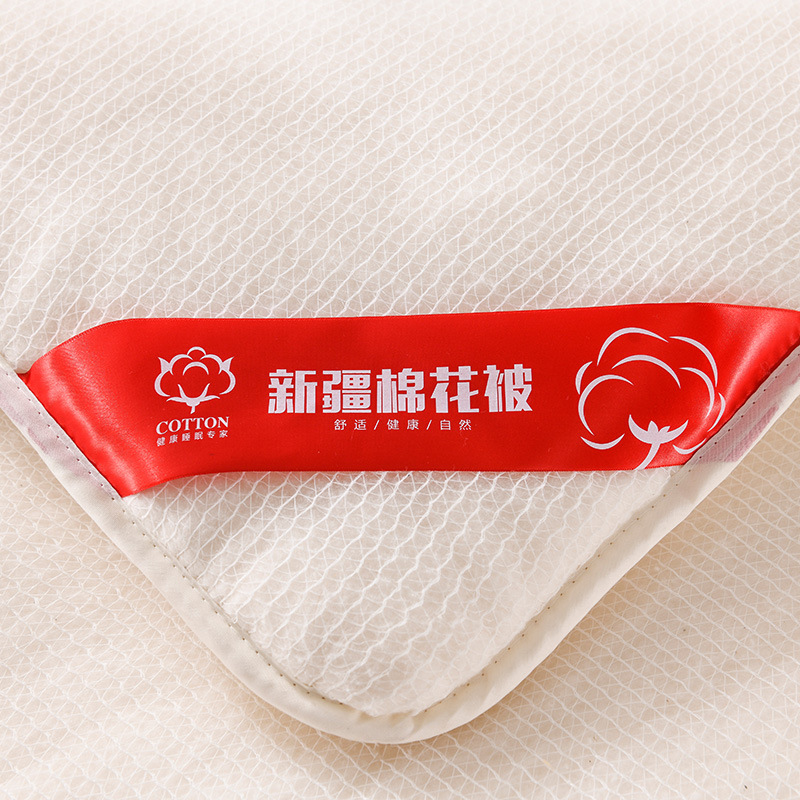 100 Xinjiang Cotton Quilt Pad Thickened Warm Winter Quilt Pure Cotton Quilt Core Spring and Autumn Quilt Student Dormitory