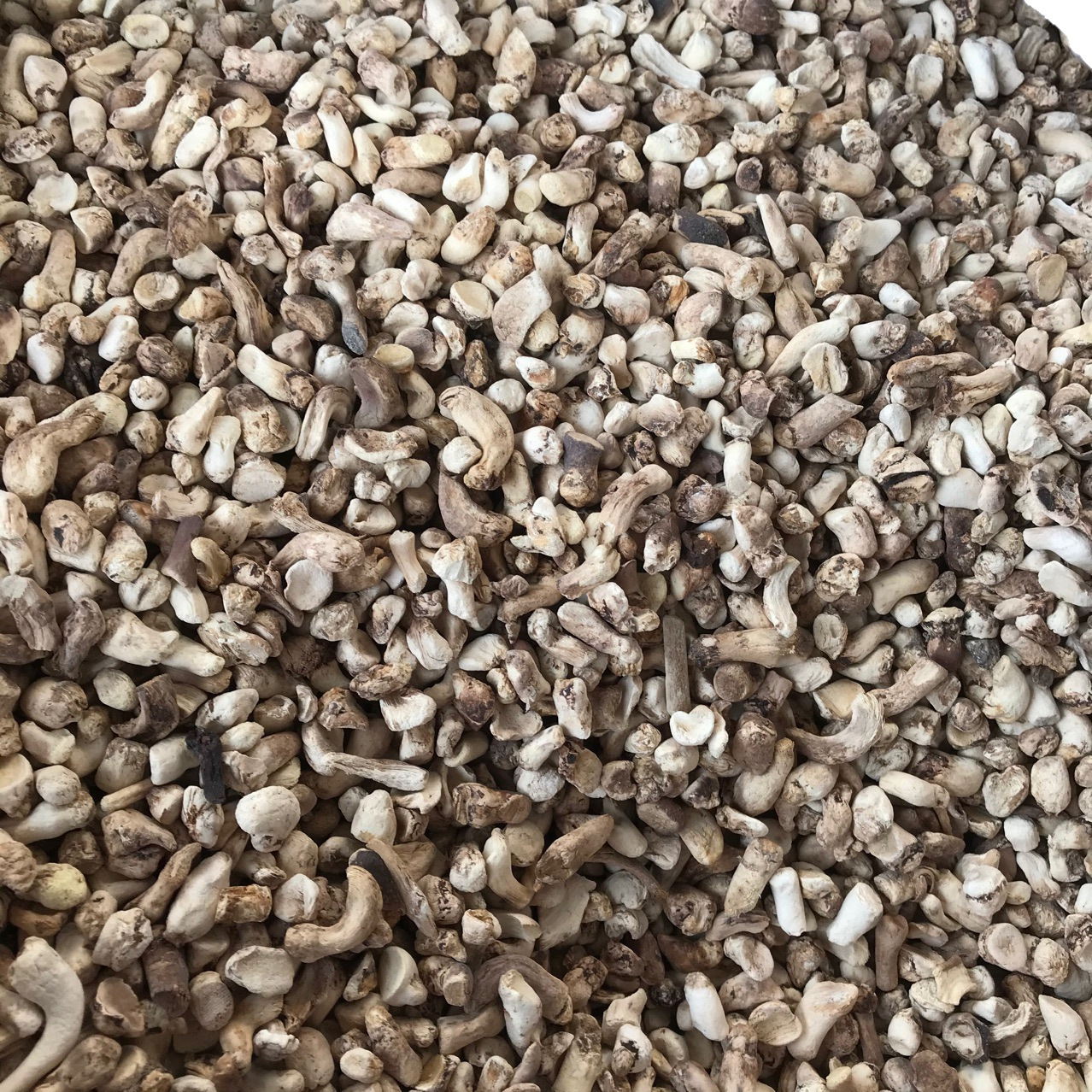 Xixia Shiitake Mushroom Feet Polished Miscellaneous Food Factory Filling Mushroom Agricultural Products Wholesale Market Everyday Supply