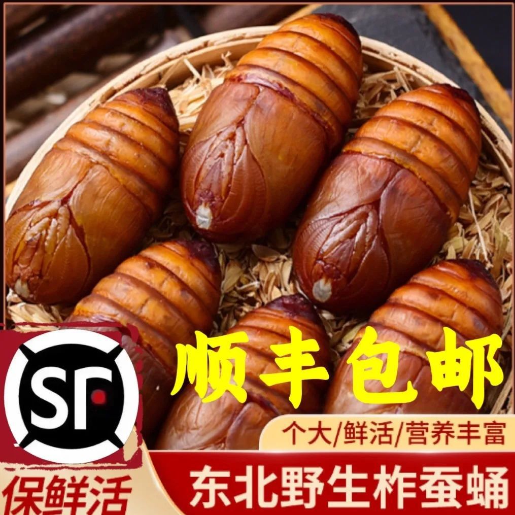 Fresh Northeastern Special Grade Tussah Silkworm Pupa, Wild Yellow Large Silkworm Pupa, Live Cicada Pupa, Wild Black Whole Box