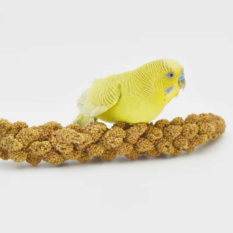 New Millet Parrot Snacks Yellow Millet Husk Yellow Millet Black Phoenix Tiger Skin Feed Bird Food Hamster Squirrel Food