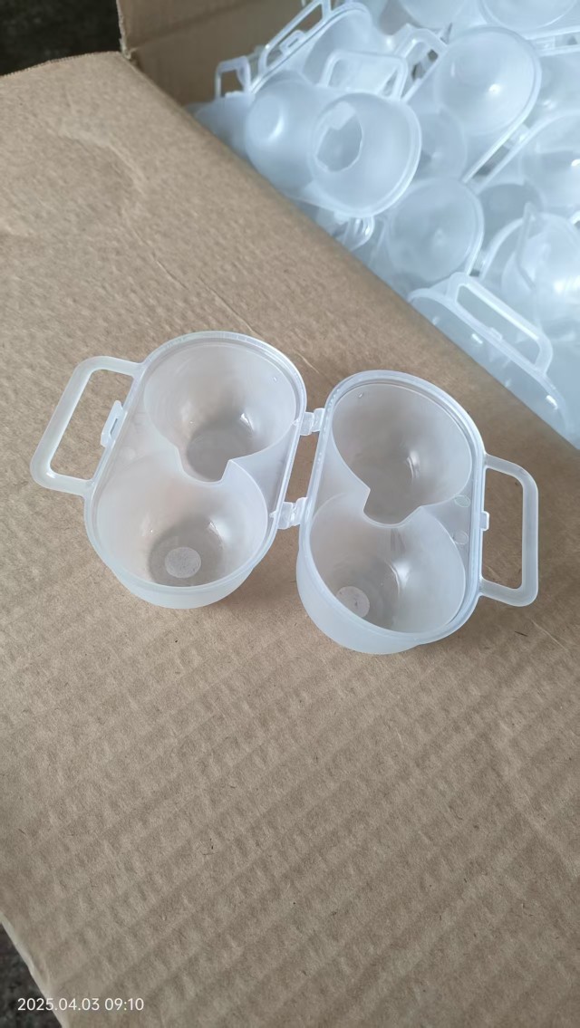 Portable Egg Storage Box, Outdoor Shock-Proof and Drop-Resistant Egg Tray, Universal Two-Compartment Egg Protection Artifact for Chicken and Duck Eggs