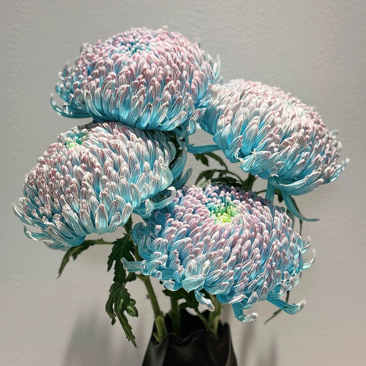 Freshly Cut Peony and Chrysanthemum Flowers, High-Quality Versatile Flowers for Flower Arrangements, Wholesale Event Flowers, Freshly Picked Base Chrysanthemum Bouquets