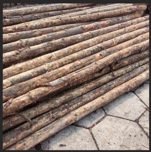 Australian Pine Piling Wood Flood Prevention Wood Pile Australian Pine Log Wood Supplies Various River Construction Site Logs Anti-Corrosion Wood