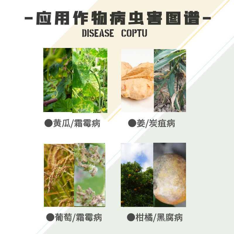 Liben Kangyan 25% Pyrazoxyflutin Fludioxynil Cucumber Fruit Tree Downy Mildew Anthracnose Pesticide Fungicide