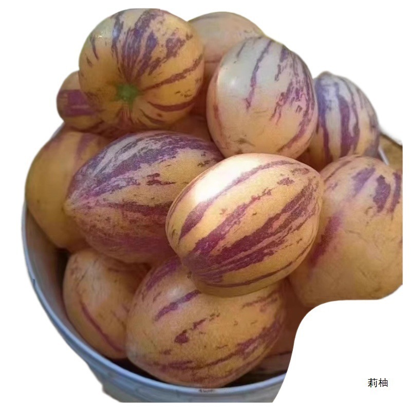 Fresh Whole Box of Gansu Ginseng Fruit with Free Shipping, Minqin Yellow-Fleshed Ginseng Fruit, Large Fruit, Long Fruit, Fruit