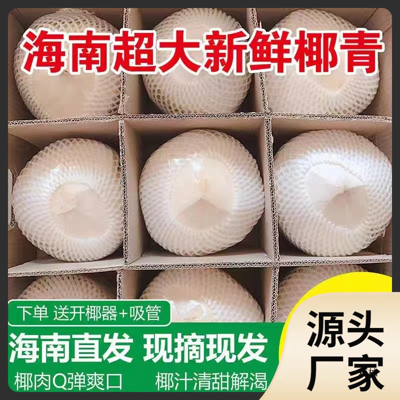 Поможем фермерам, кокос зеленый Хайнань Вэньчанг 9 упаковка, свежий кокос, фрукты для беременных, кокосовый сок, мясо, очищенный, целая коробка
