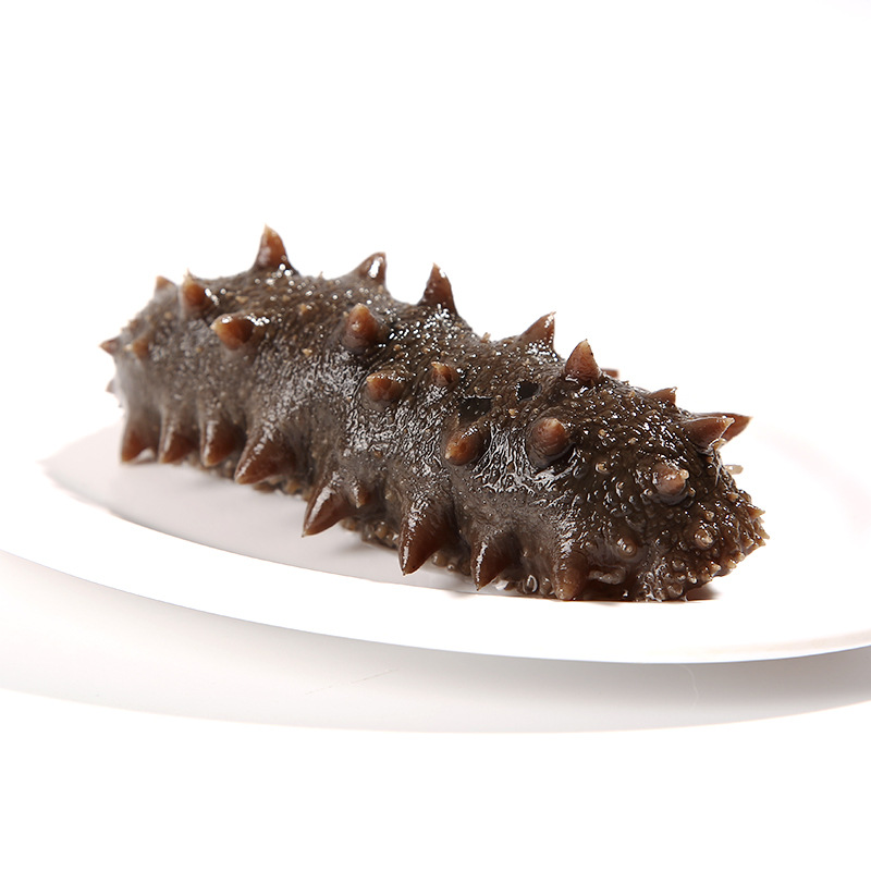 Ready-To-Eat Sea Cucumber Manufacturers Wholesale Customized In-Stock Processed Dalian Sea Cucumber Fresh Seafood Sea Cucumber Ready to Eat