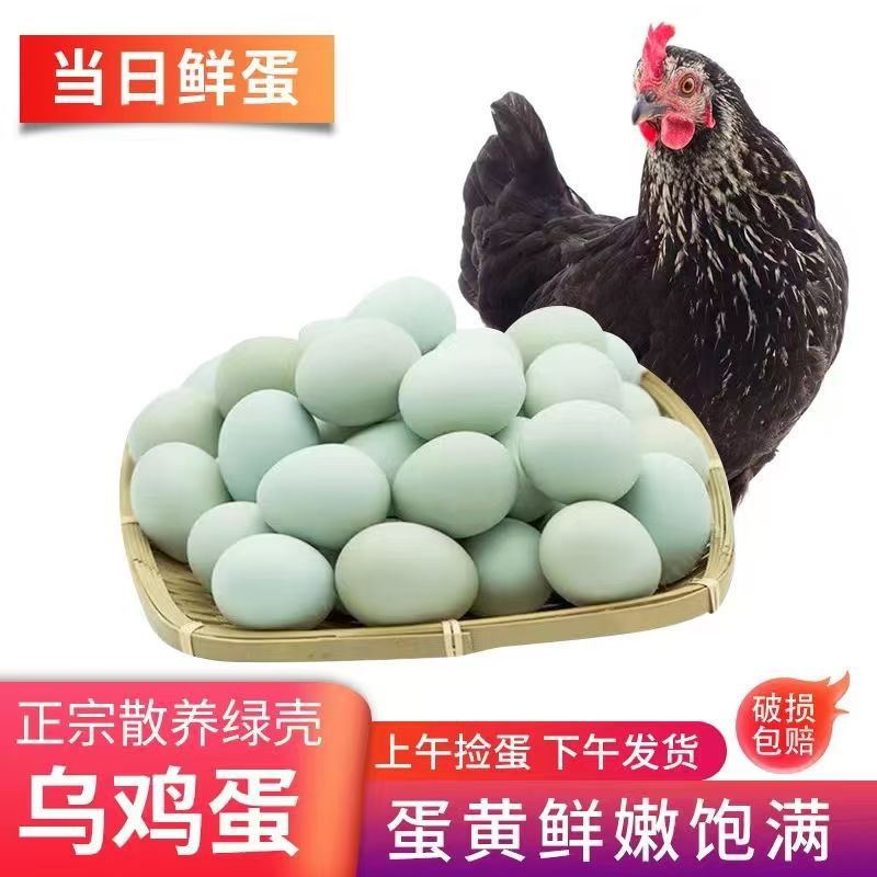 360 pieces of green shell black eggs fresh farm green shell eggs free-range black chicken green shell soil eggs grass eggs