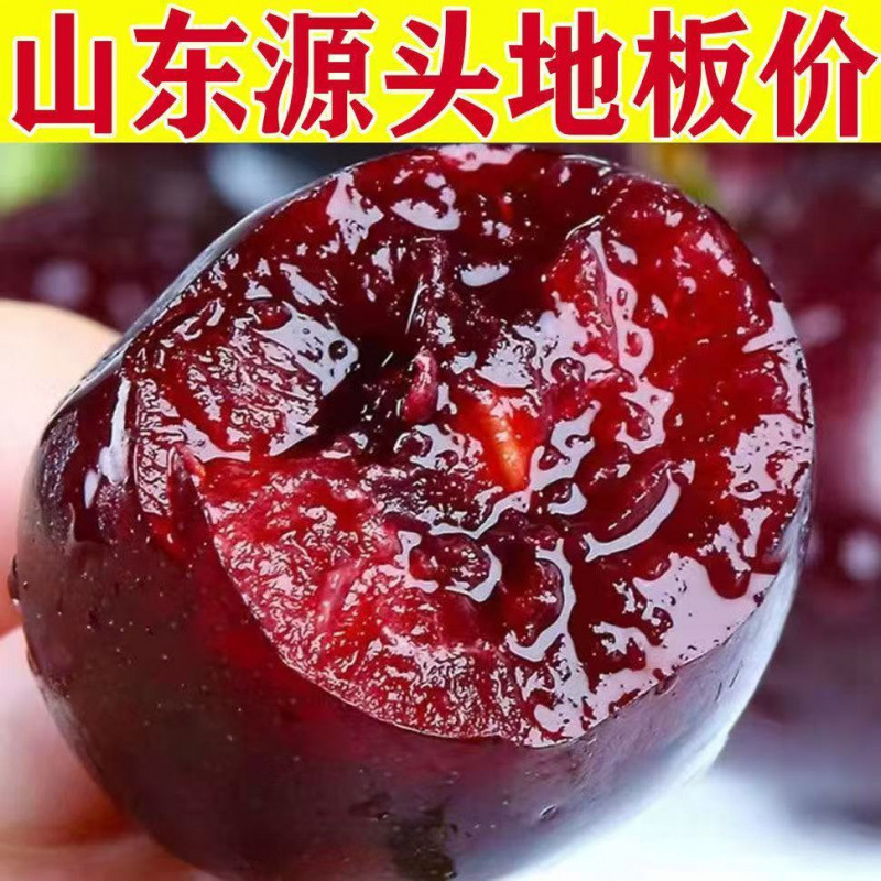 Shandong Cherries, Large Cherry Crisp and Sweet, Domestic Cherries, Fresh Cherries for Pregnant Women, Seasonal Free Shipping, Whole Box