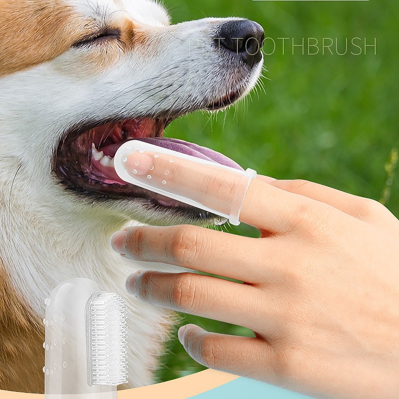 Cross-Border Popular Silicone Pet Toothbrush, Dog Toothbrush, Finger Cot, Universal Finger Toothbrush for Cats and Dogs, Tongue Coating Cleaning Brush
