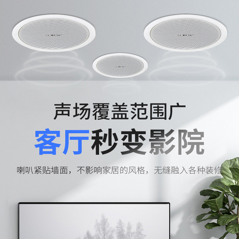 Ceiling Speaker Ceiling Audio Store Fixed Pressure Public Broadcasting Background Music Ceiling Speaker