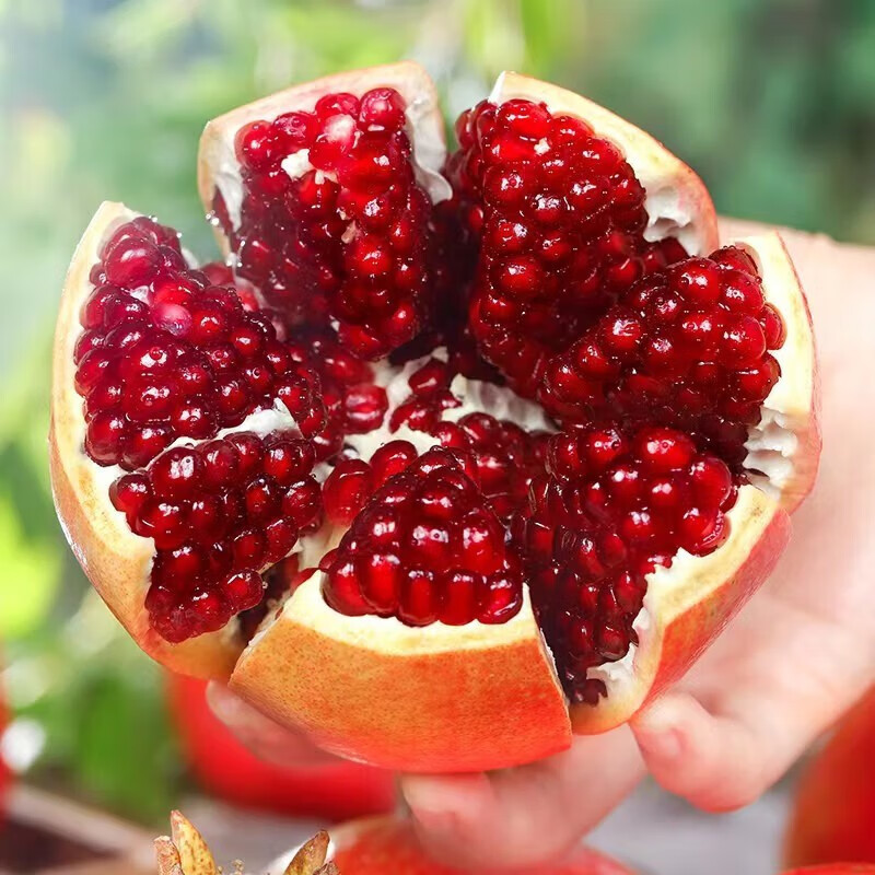 Guangzhou Jiangnan Wholesale Straight Hair [Sf Express] Sichuan Tunisian Soft Seed Pomegranate 2.5kg Gift Box Fresh Large Fruit