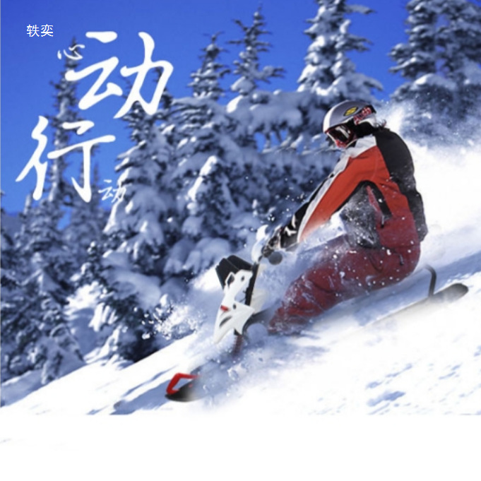 Ski Cart for Kidsren and Adults Winter Motorcycle-Style Snow Skis Wear-Resistant Outdoor Toys Skating Cart Sled Cart