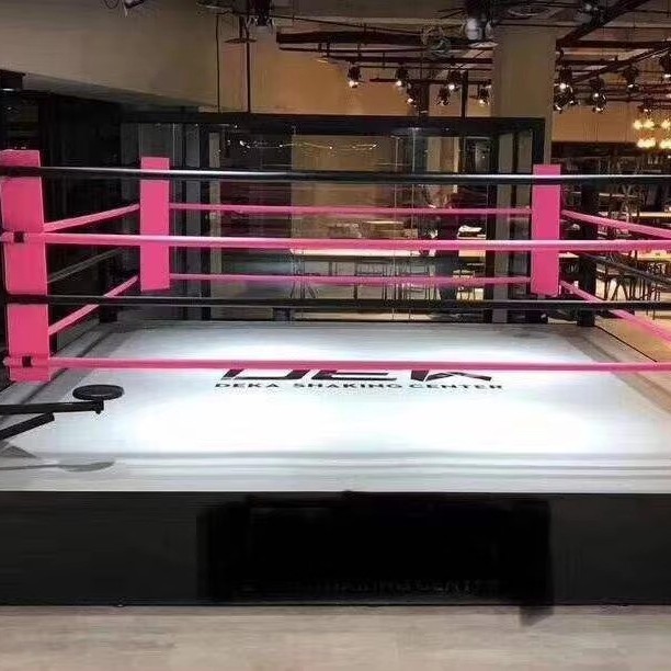 Professional 5M*5M*50Cm Elevated Wrestling Rings Stage Boxing Ring