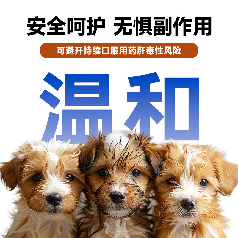 Aolong Xibei Aolong Medicinal Bath Lotion Pet Dog Black Chin Skin Disease Dog Ringworm Fungus Shampoo Shower Gel