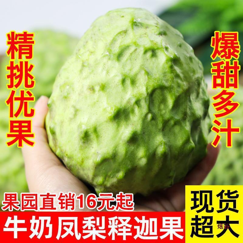 Свежесобранный Молочный Ананас и Соподобный Фрукт 2.5кг Свежий Соподобный Тропический Фрукт Большой Фрукт для Беременных Женщин 1/3/10