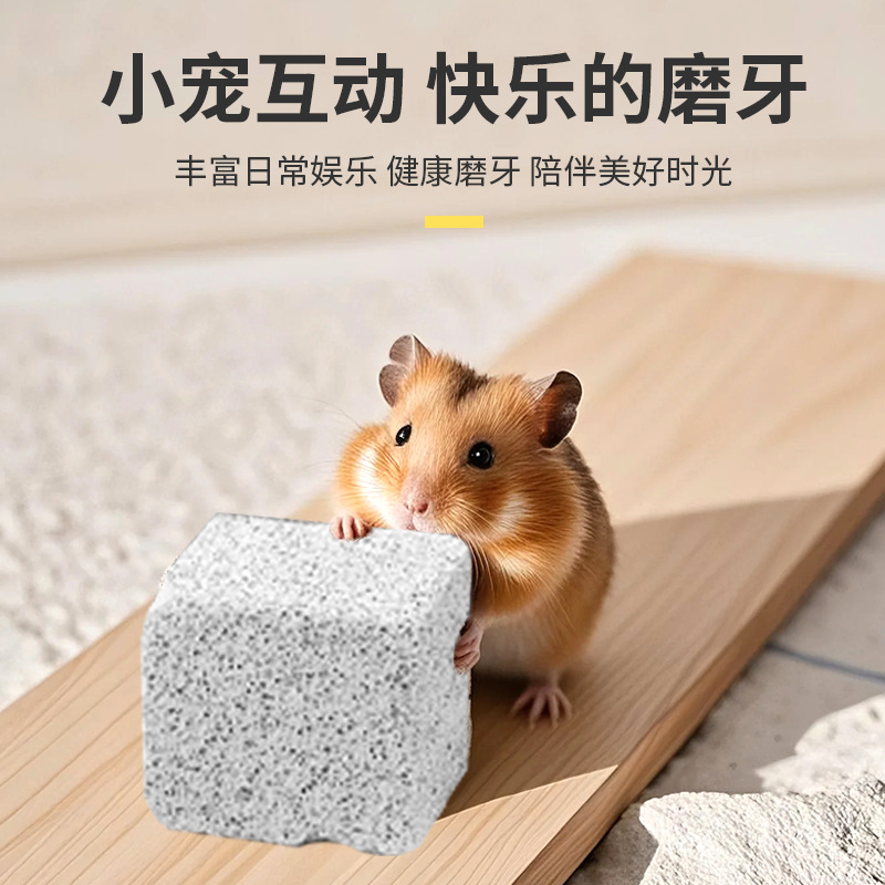 Hamster Molar Stone Hamster Volcanic Rock Molar Stone Dragon Cat Rabbit Dutch Pig Parrot Pet Special Molar Supplies